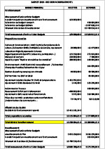 2019 - Budget supplémentaire